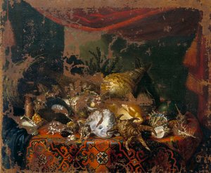 Conchas de Bartolomeo Bimbi